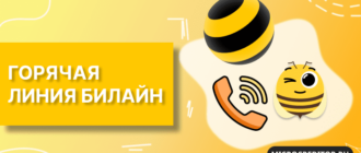 Номер телефона горячей линии Билайн